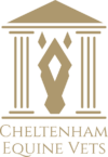 Cheltenham Equine Vets Logo