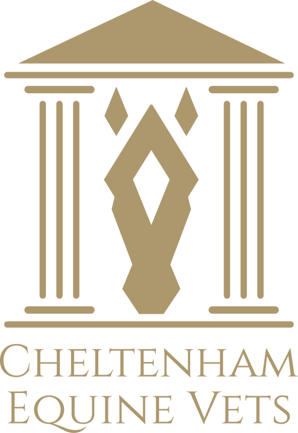 Cheltenham Equine Vets Logo