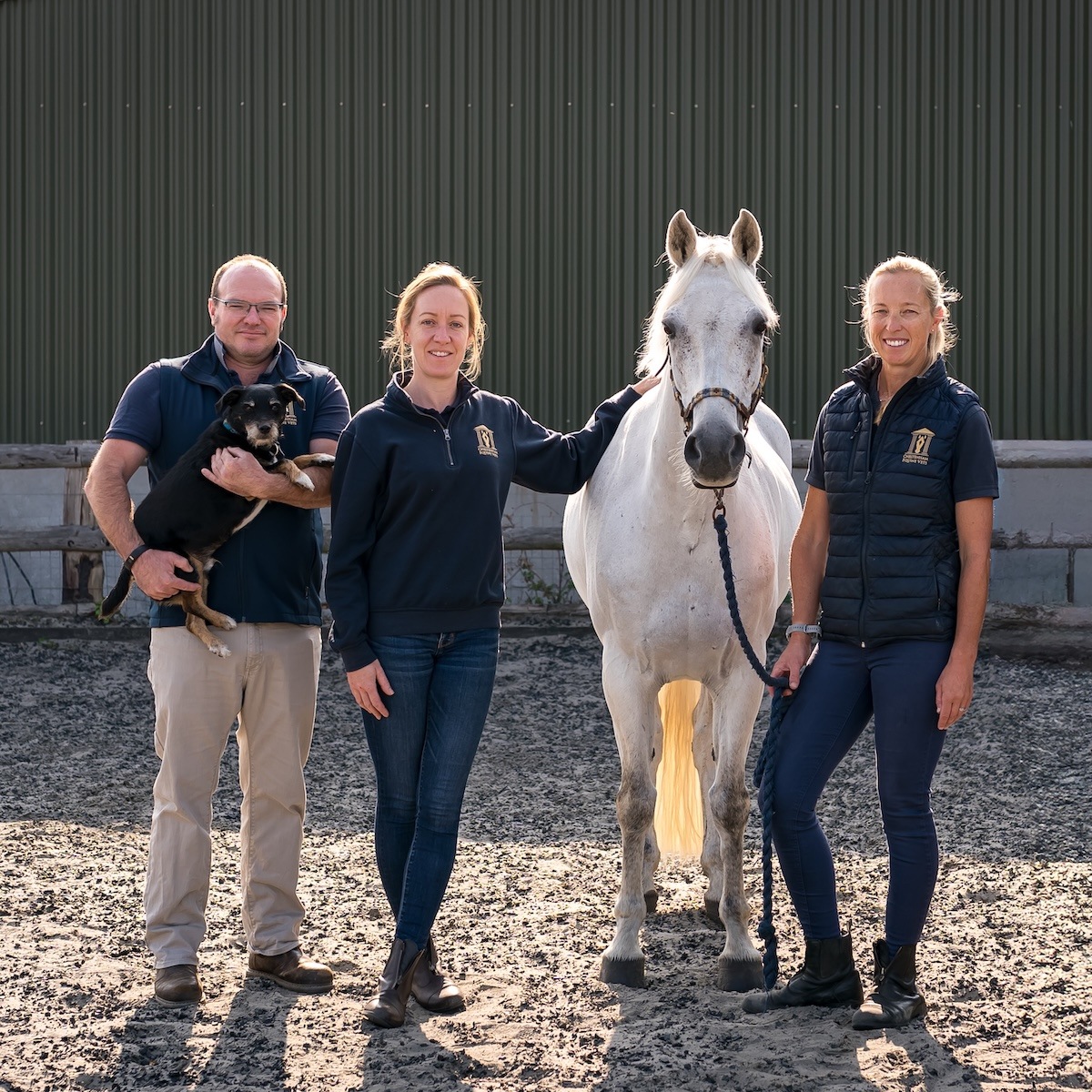Cheltenham Equine Vets 3 Veterinary Team Members with a White Horse Square