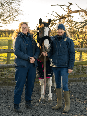 Cheltenham Equine Vets Veterinary Partners with a Horse Cheltenham Equine Vets Veterinary Partners with a Horse